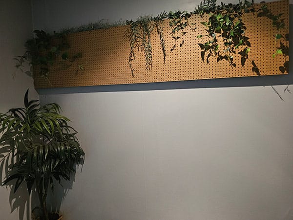 안양.평촌역- 뉴힐링 -샵사진-4번째 이미지