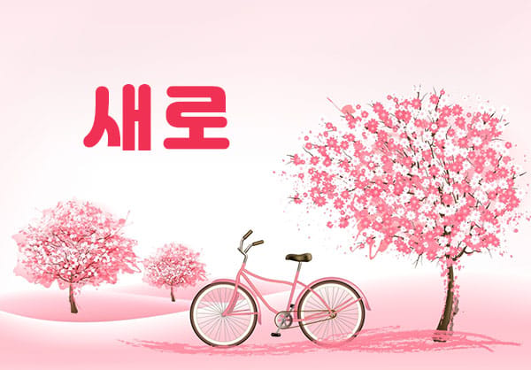 시흥1인샵&홈- 새로스웨디시 -연출사진
