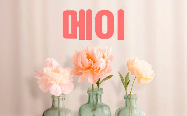 제주.연동1인샵-메이-연출사진