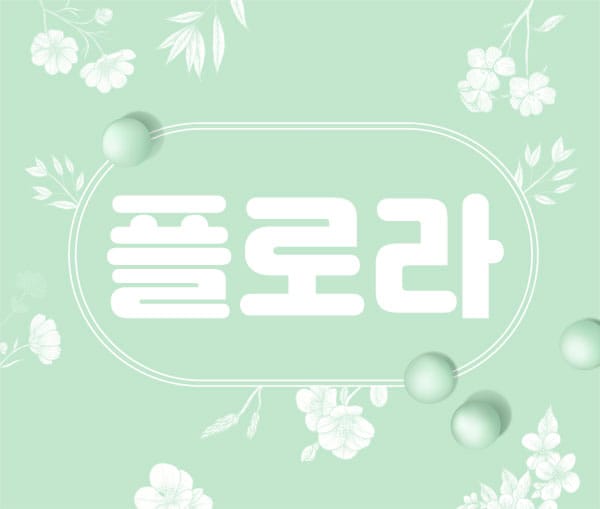 대구.신천-플로라-연출사진