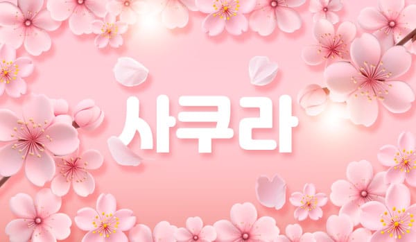 화성.남양2인샵- 사쿠라 -연출사진