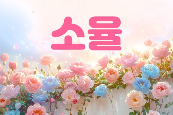 1인홈케어- 소율 -연출사진