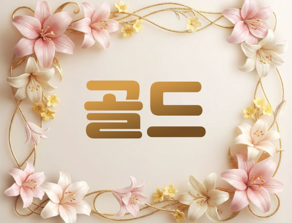 남쌤.1인홈케어- 골드 -연출사진
