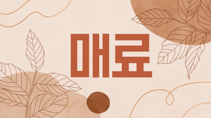 부산.서면1인샵- 매료 -연출사진